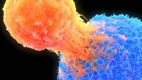 CAR T-cell attacking a cancer cell