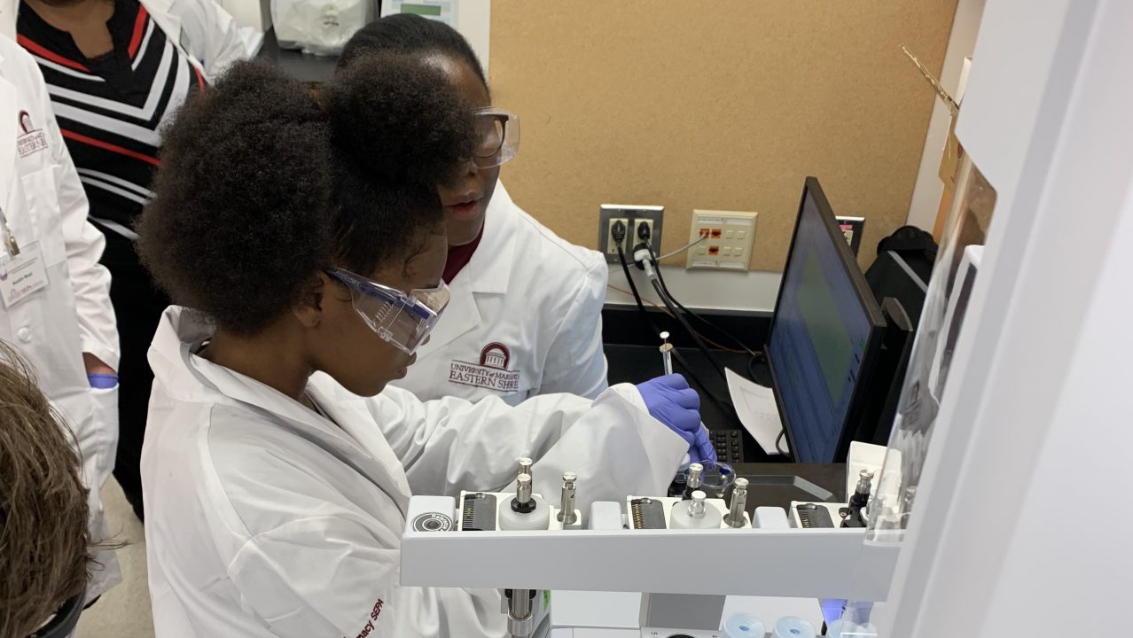 minority biomedical research support program