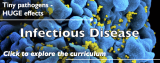 The Great Diseases: Bringing Biomedical Science to the High School Classroom
