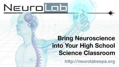 NeuroLab: Adapting an authentic ISE experience for high school course integration and positive STEM outcomes