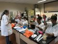 BioSTORM: Biomedical STEM Transitions through Outreach, Research and Model Education for High School Students