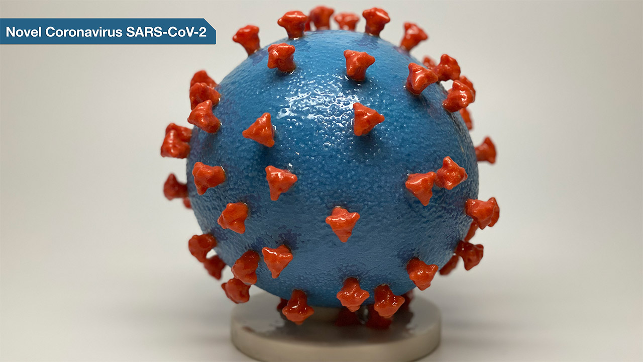 Novel Coronavirus SARS-CoV-2