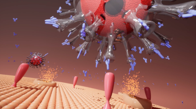 Screenshot from the "How do mRNA Vaccines Work?" animation showing the SARS-CoV-2 virus with neutralizing antibodies.