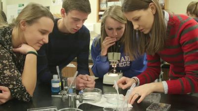 Empowering Pre-service Teachers and Students with Environmental Health Research