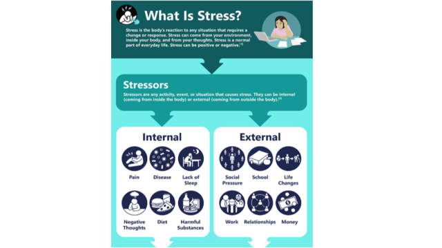 What is Stress? | Science Education Partnership Award