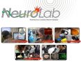 NeuroLab M3: Discovery-Based Explorations of Scientific Models Model Organisms and Model Systems in Developmental Neuroscience